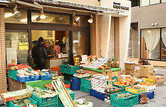 t-photo_yasaka01.jpg